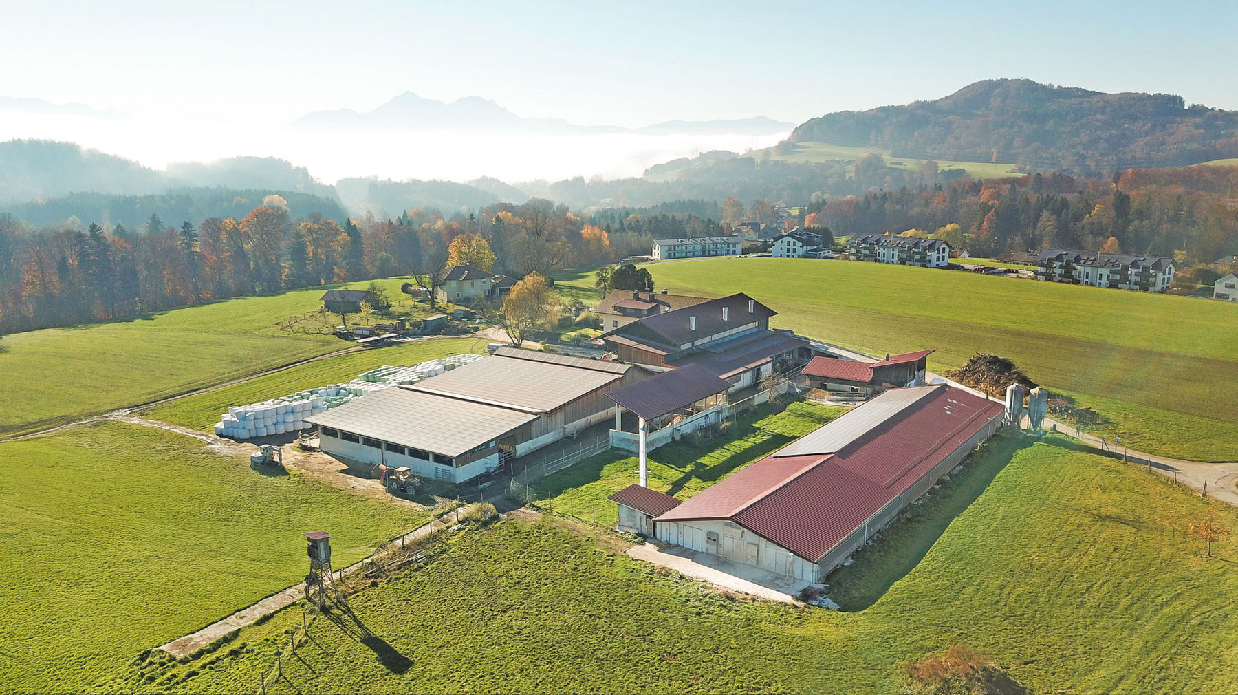 Gelebter Kreislauf mit Milchvieh  und Junghennen.jpg © Hatheier