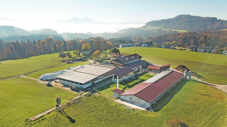 Gelebter Kreislauf mit Milchvieh  und Junghennen.jpg © Hatheier