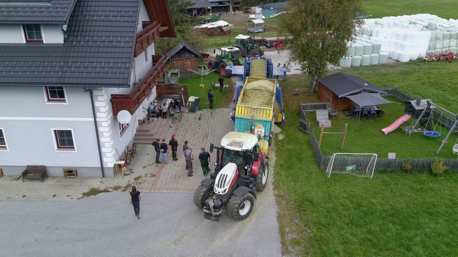 Silomais auf 1.000 Meter Seehöhe: Was braucht es für eine gute Ernte?.jpg © Archiv