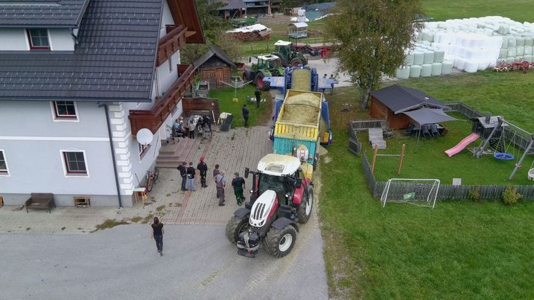 Silomais auf 1.000 Meter Seehöhe: Was braucht es für eine gute Ernte?.jpg © Archiv