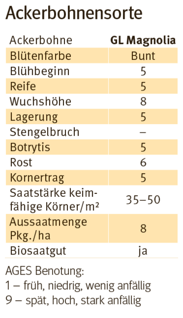 Ackerbohnensorte 2026.png © Archiv