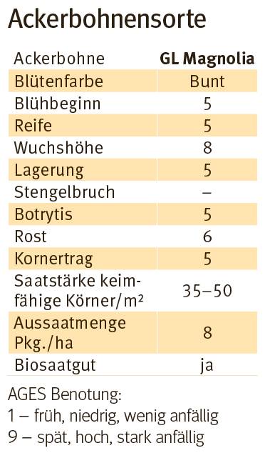 Ackerbohnensorte 2026.png © Archiv