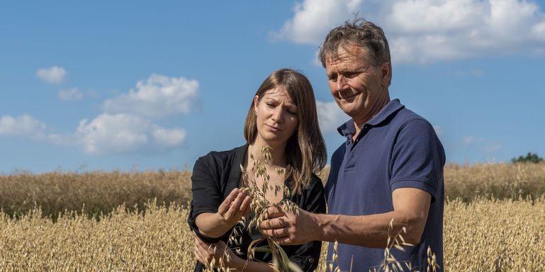 Hafer © agrarfoto.com