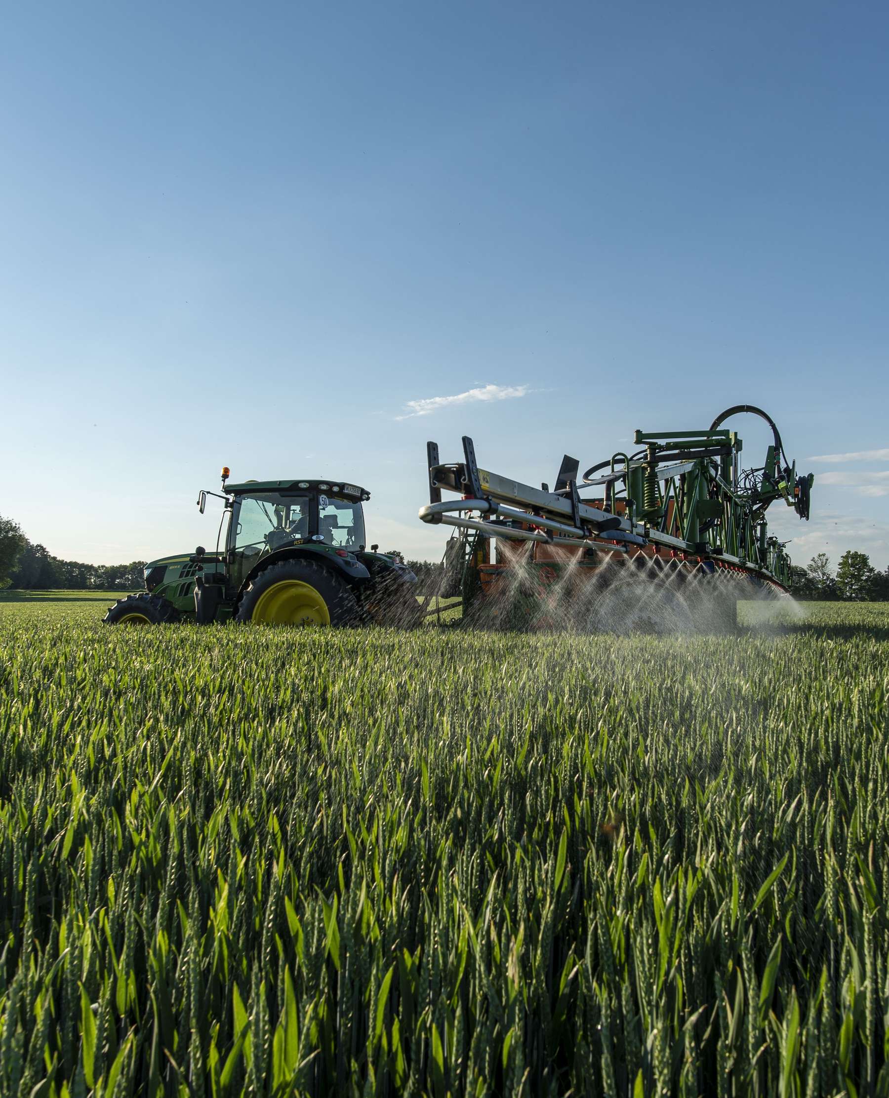 Fungizid_Abendstunden_agrarfoto.jpg © agrarfoto.com