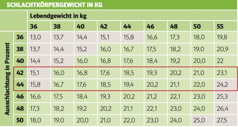 Mastleistungen, die sich bezahlt machen.jpg © Archiv