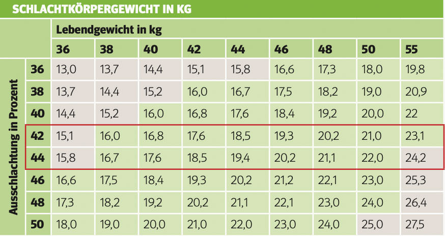 Mastleistungen, die sich bezahlt machen.jpg © Archiv