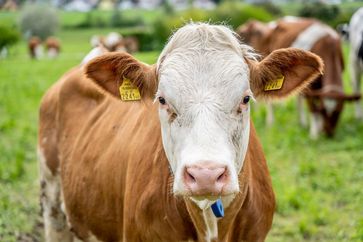 [1769063828016717.jpg]