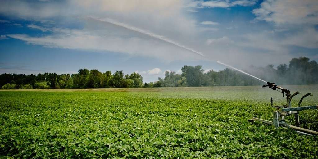 Bewässerung_Marchfeld_5405.jpg © Franz Gleiß/LK Niederösterreich