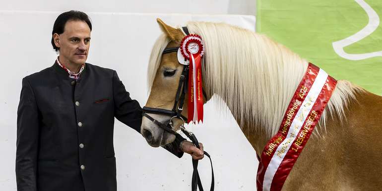 Sternengold_Luef1.jpg © Hans Kraus