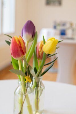 K0PJ8v5IyqYxsJFBkjia.jpg © Silke Schwab