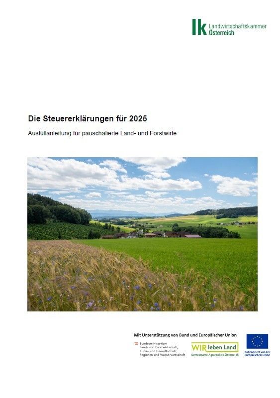 Titelbild Die Steuererklärung 2025.jpg © LKÖ