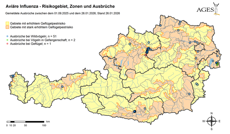 csm_HPAI_Ausbrueche_DE_c37b132926.png © AGES