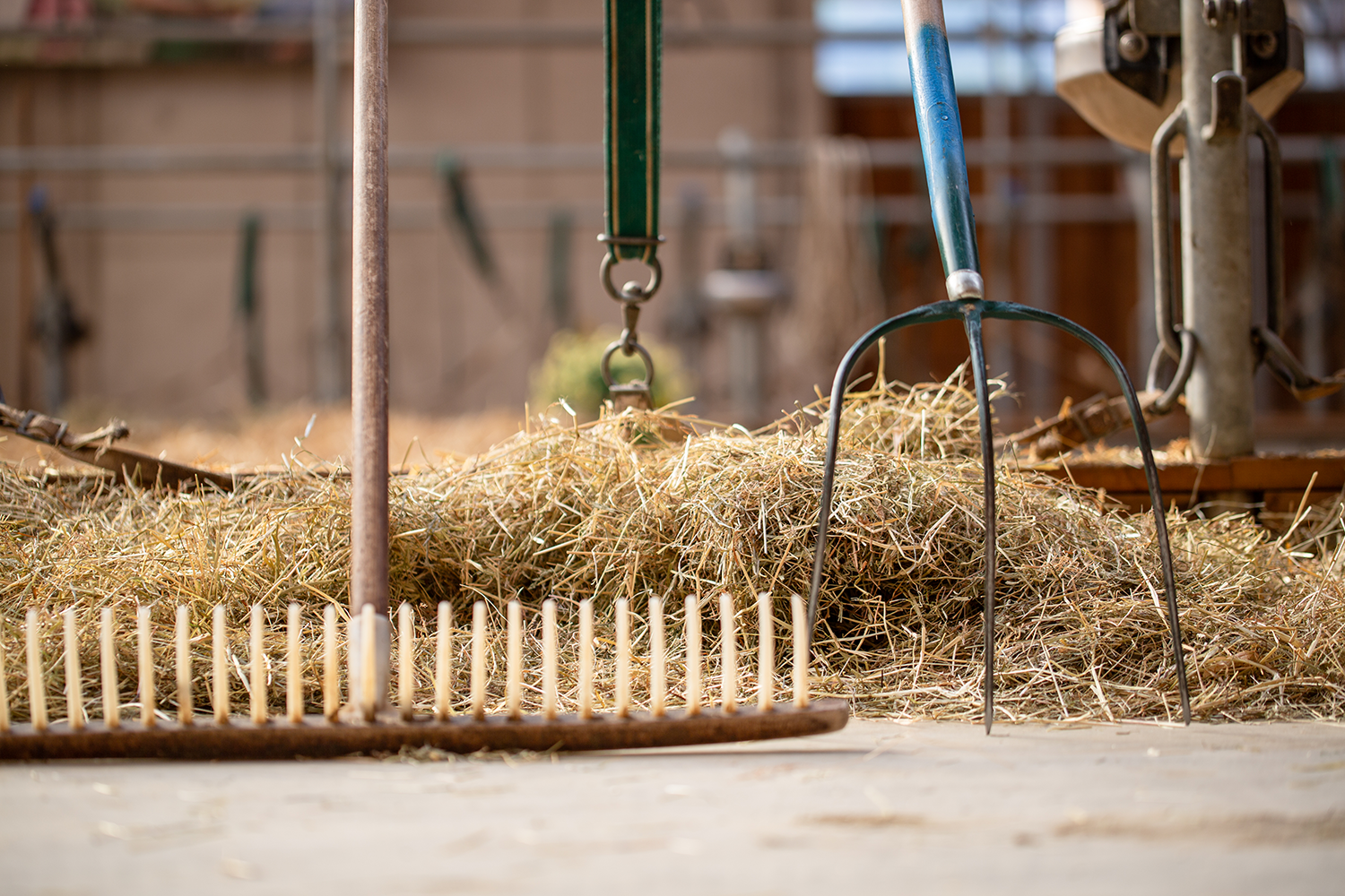 Heugabel und Rechen im Stall © Michaela Kölle
