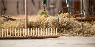 Landwirtschaft © Michaela Kölle