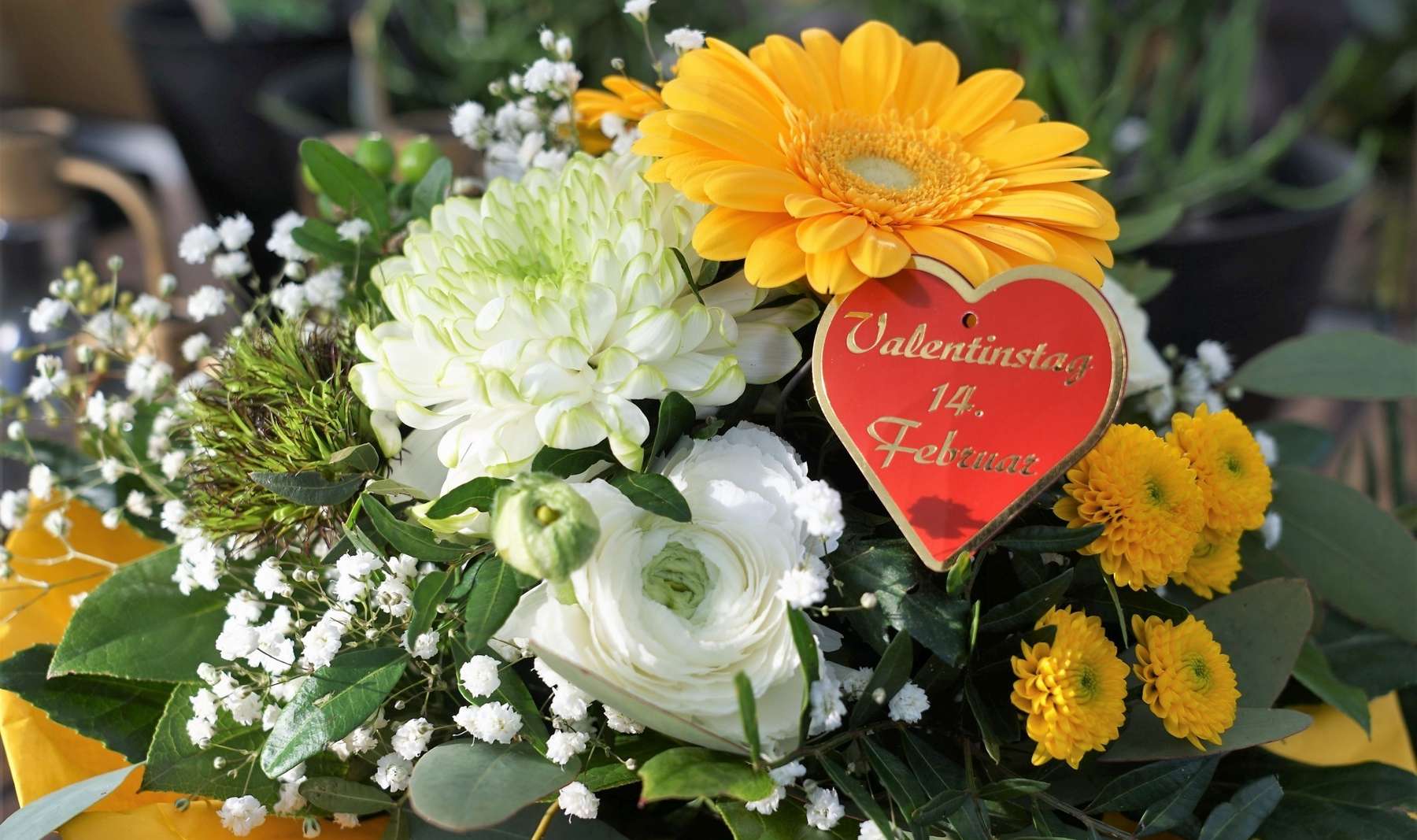 Foto Gartentipp Valentinstag.jpg © Harald Rammel, LK Vorarlberg