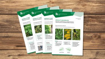 merkblätter_grünland © LK Tirol