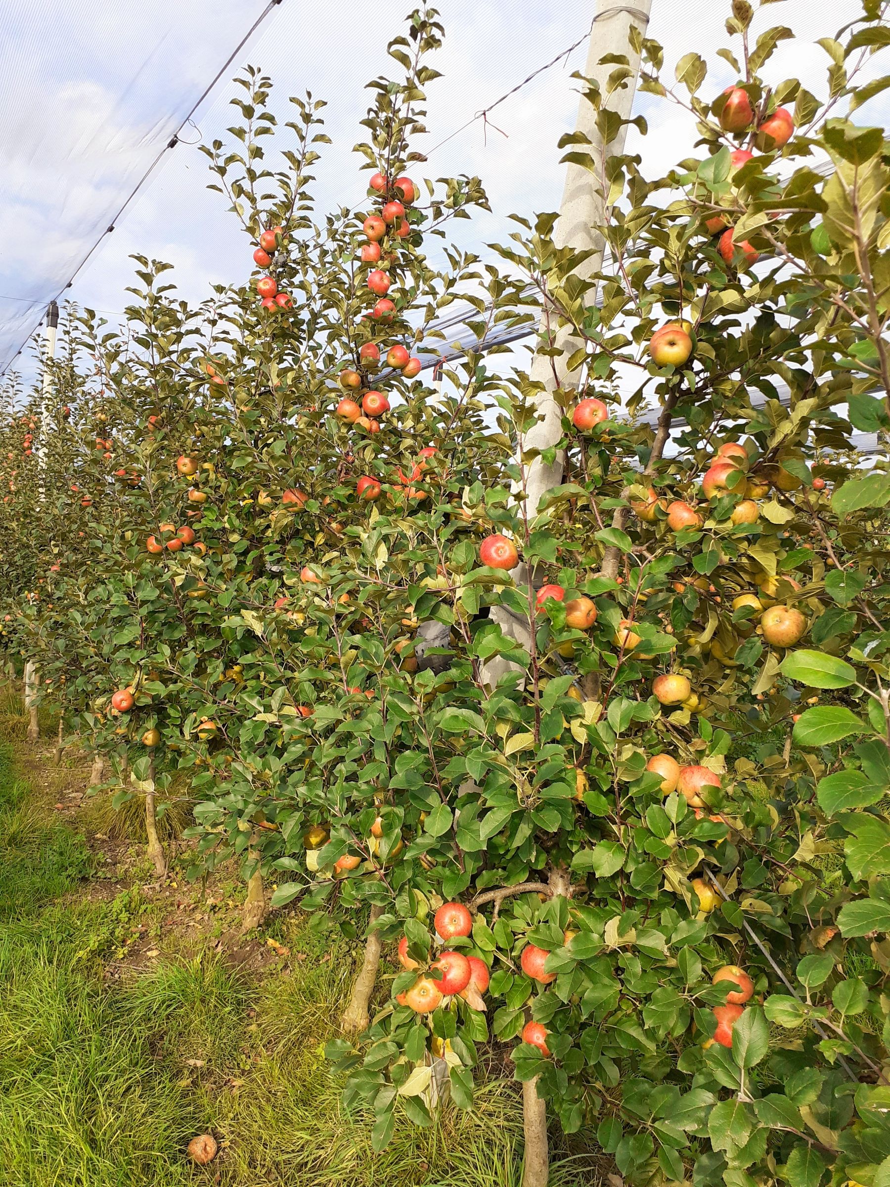 20210921_164525.jpg © Privat