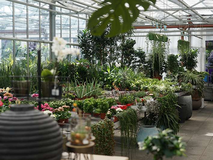 Endverkaufstag.jpg © LK Vbg.