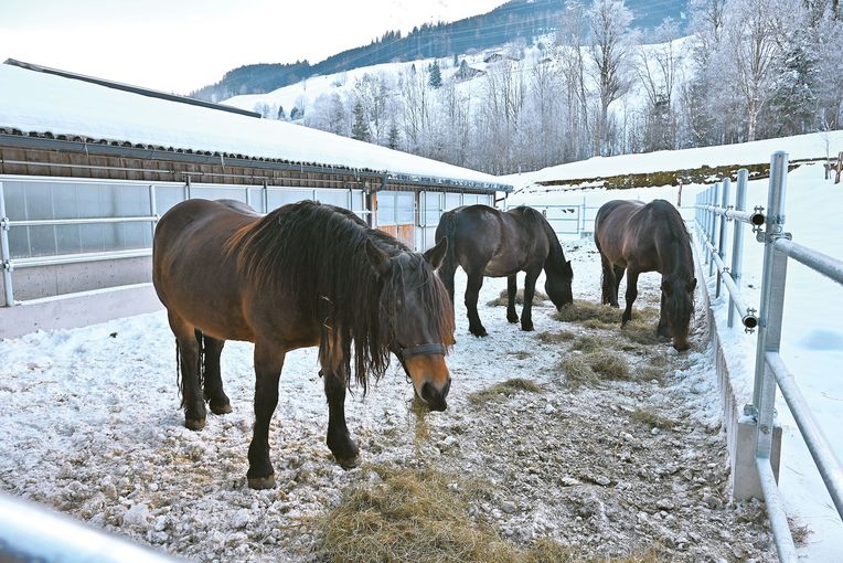 Erlachhof.jpg © Mooslechner