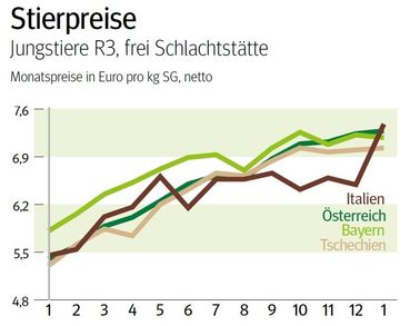NÖ: Ausblick auf den Stiermarkt im Februar © LK NÖ