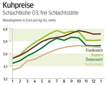 NÖ: Ausblick auf den Kuhmarkt im Februar © LK NÖ