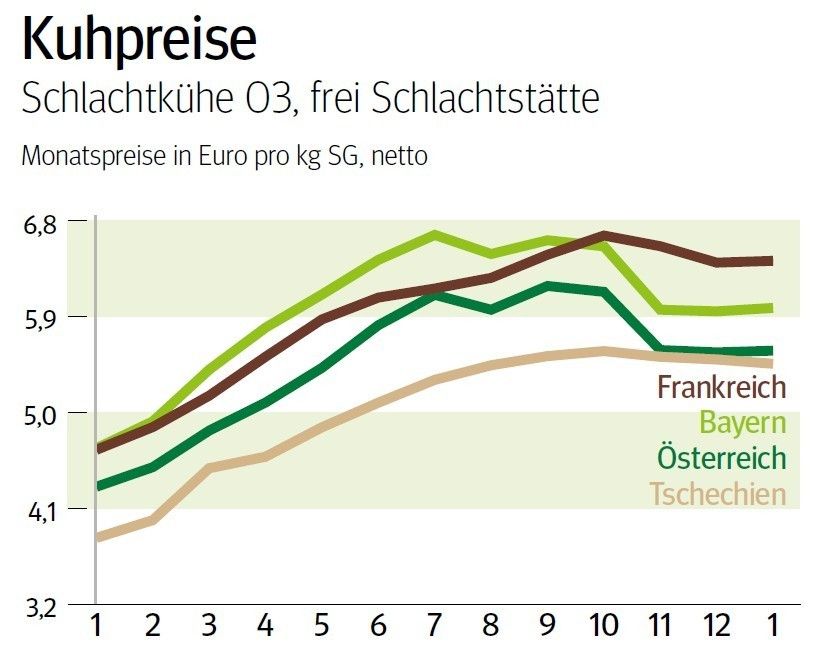 NÖ: Ausblick auf den Kuhmarkt im Februar © LK NÖ