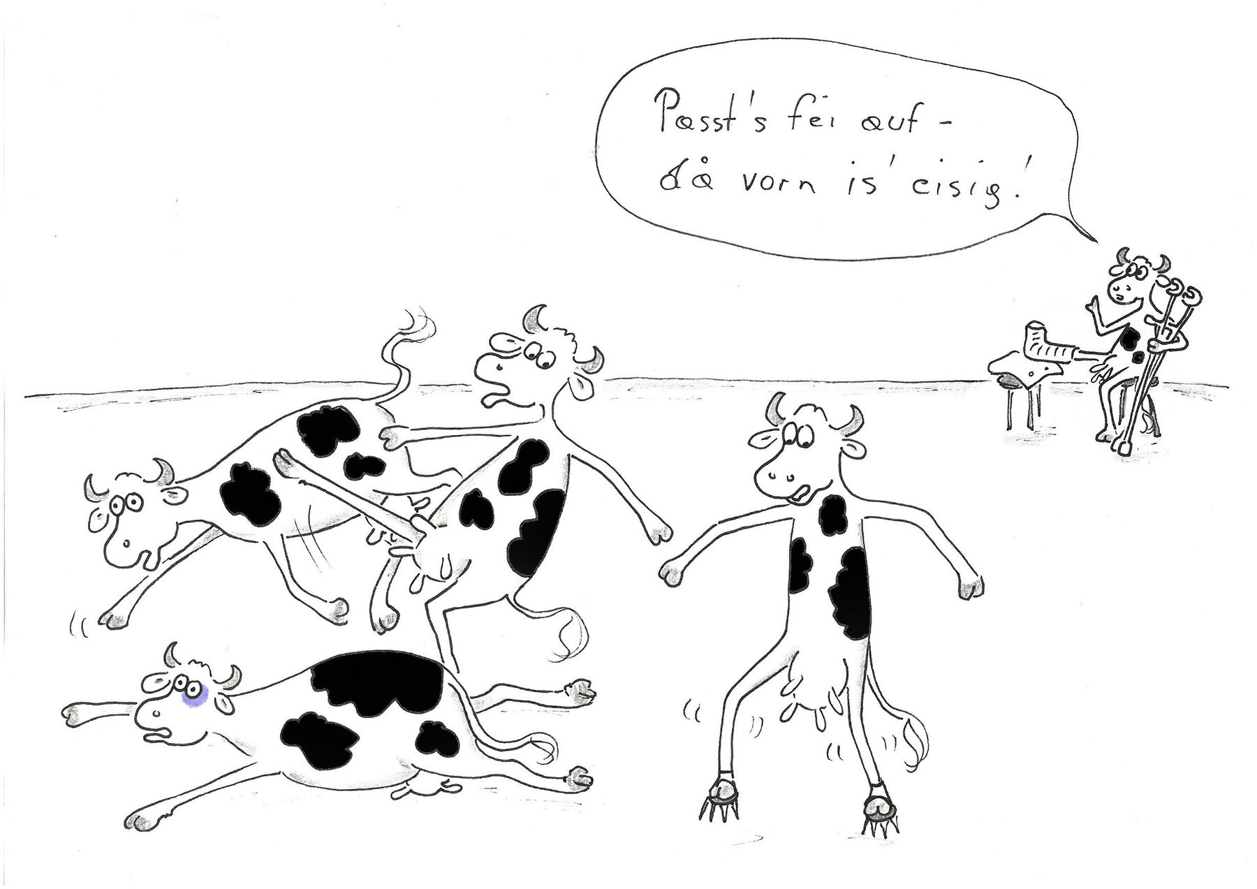 Glatteis.jpg © Mitterwallner