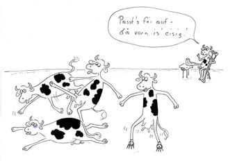 Glatteis © Mitterwallner