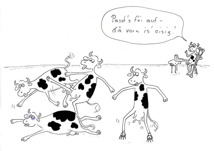 Glatteis.jpg © Mitterwallner