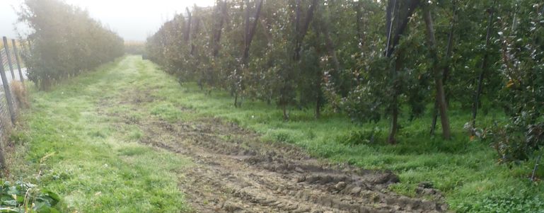 04_20260206_Muster_Bodenbelastung © LK Steiermark