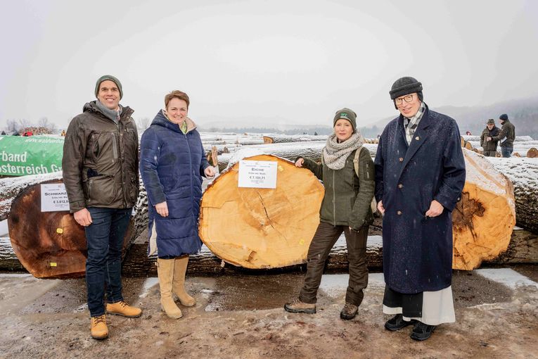 Foto 1_Laubholzsubmission 2026.jpg © Georg Pomaßl/LK Niederösterreich