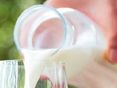 Milch © stock.adobe.com