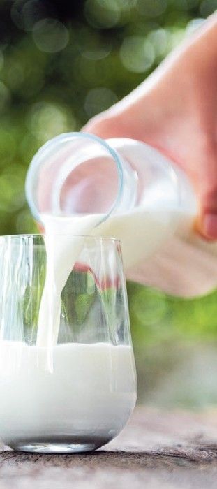 Milch.jpg © stock.adobe.com