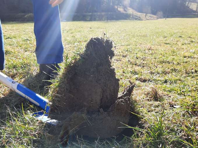 Spatenprobe.jpg © BWSB