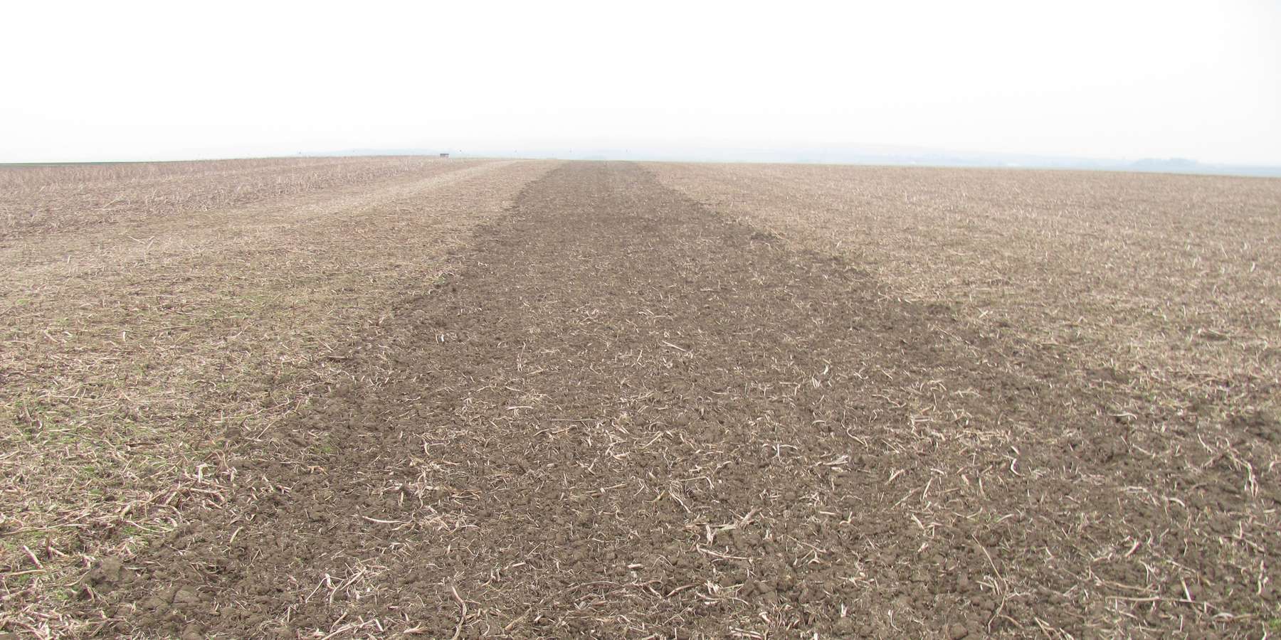 IMG_3496 Scheibenmähwerk + Grubber.jpg © Josef Wasner/LK Niederösterreich