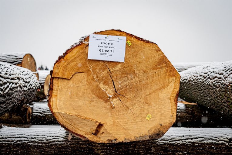 © Georg Pomassl/LK Niederösterreich