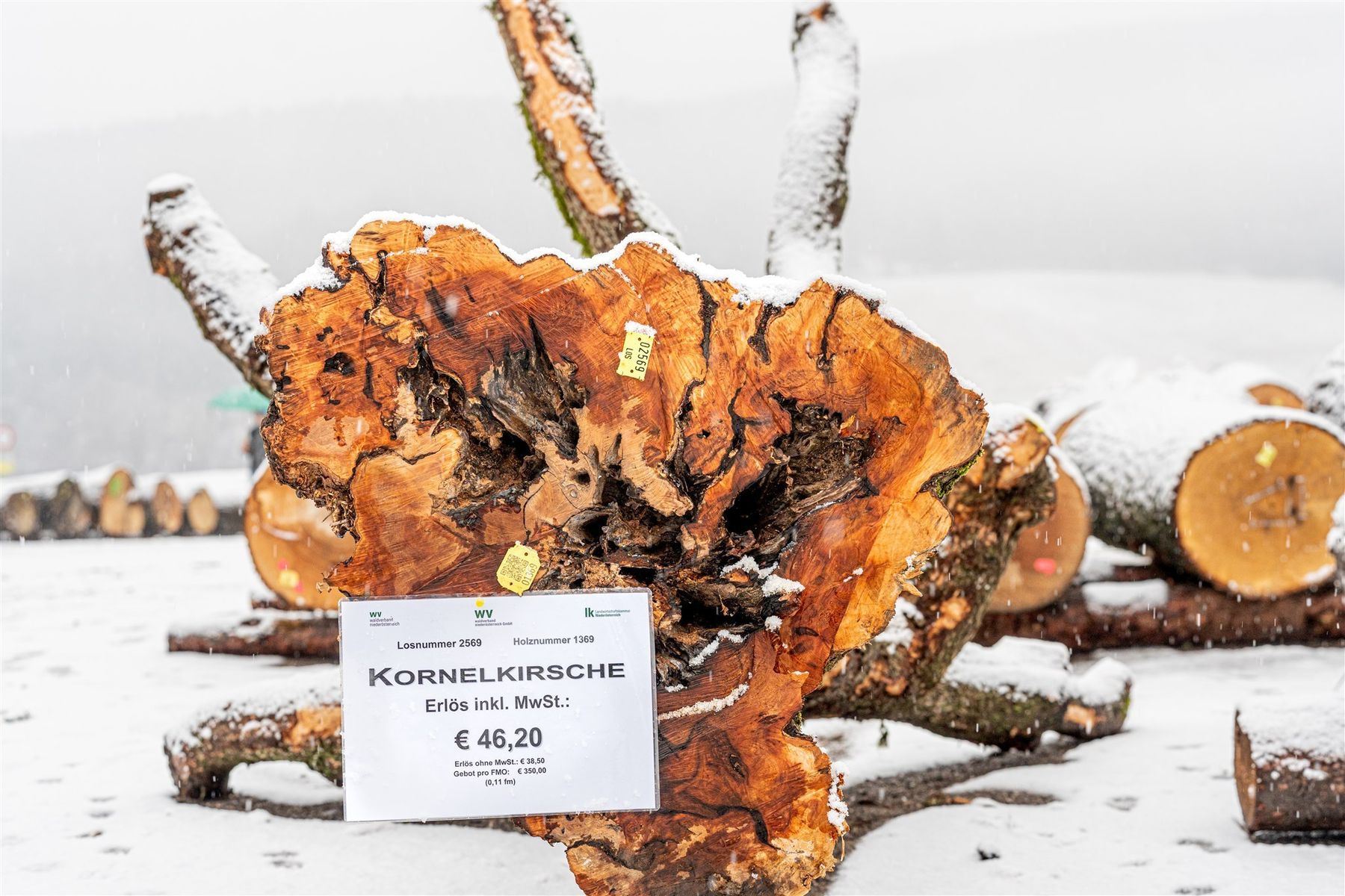 © Georg Pomassl/LK Niederösterreich