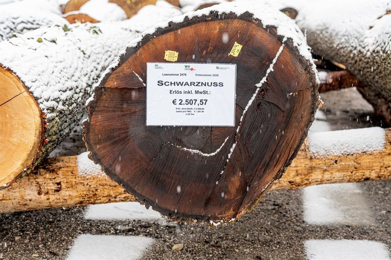 © Georg Pomassl/LK Niederösterreich