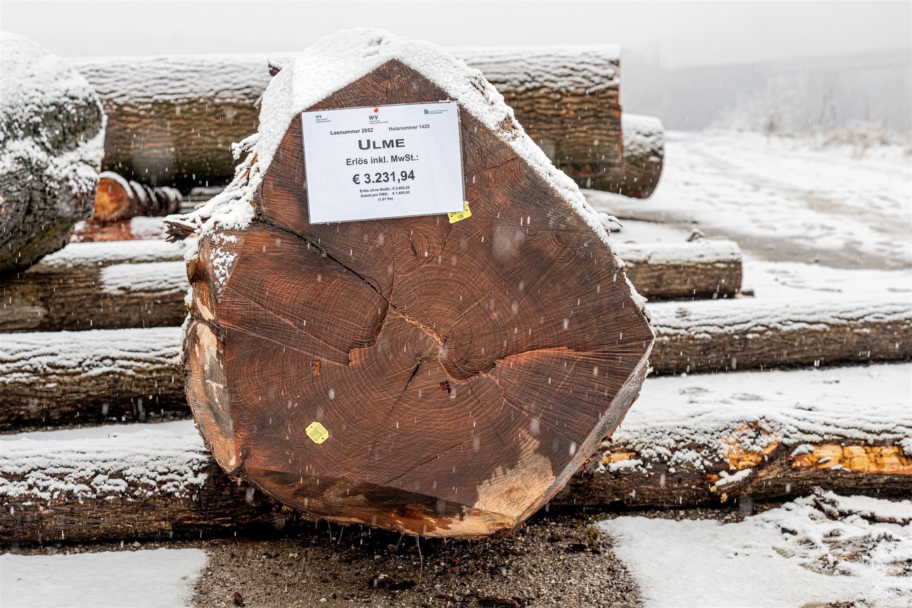 © Georg Pomassl/LK Niederösterreich