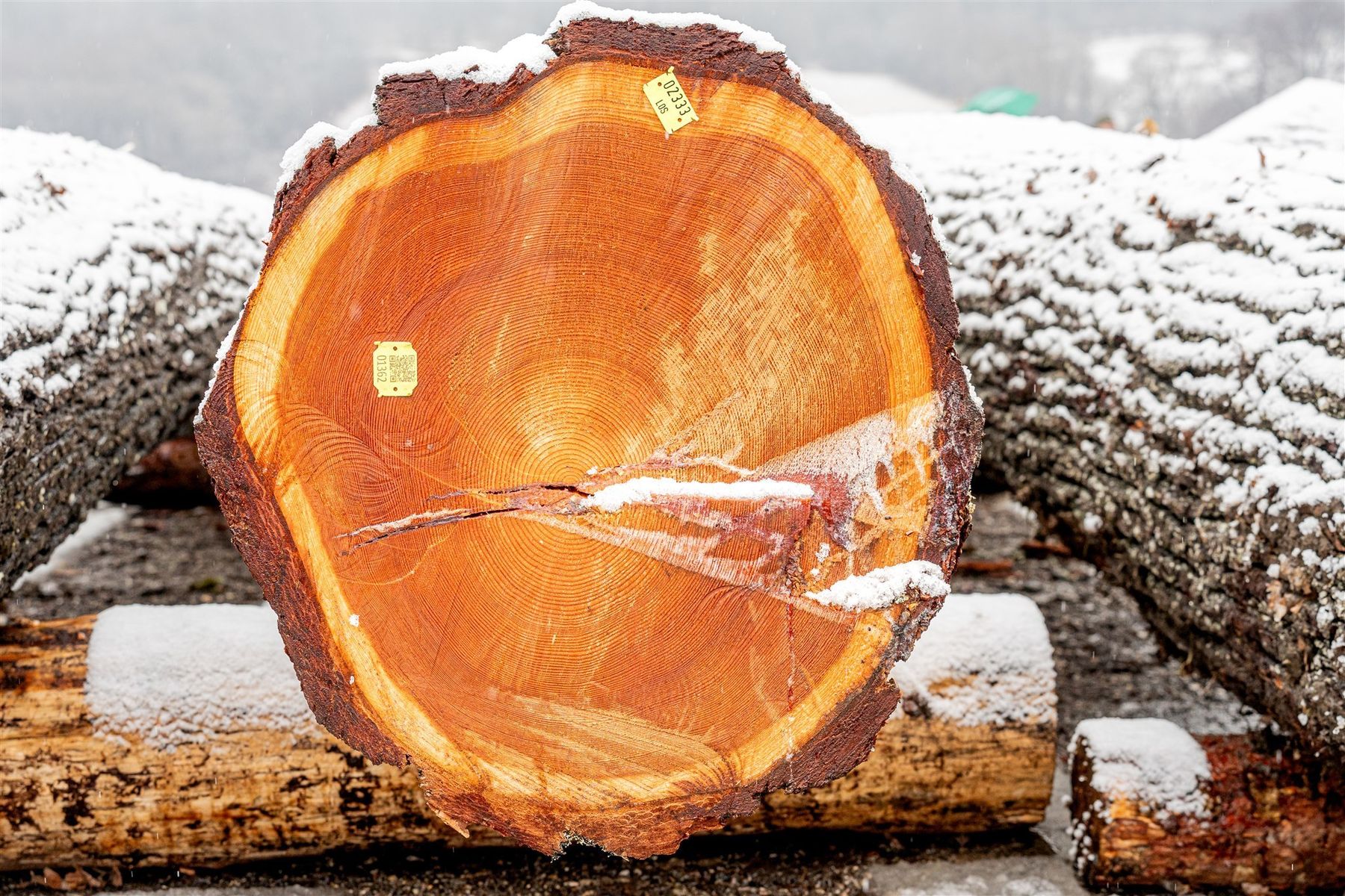 © Georg Pomassl/LK Niederösterreich