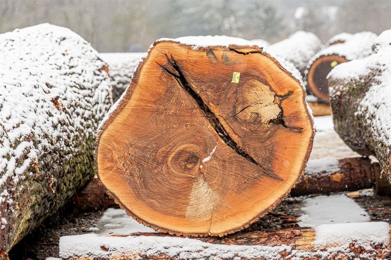 © Georg Pomassl/LK Niederösterreich