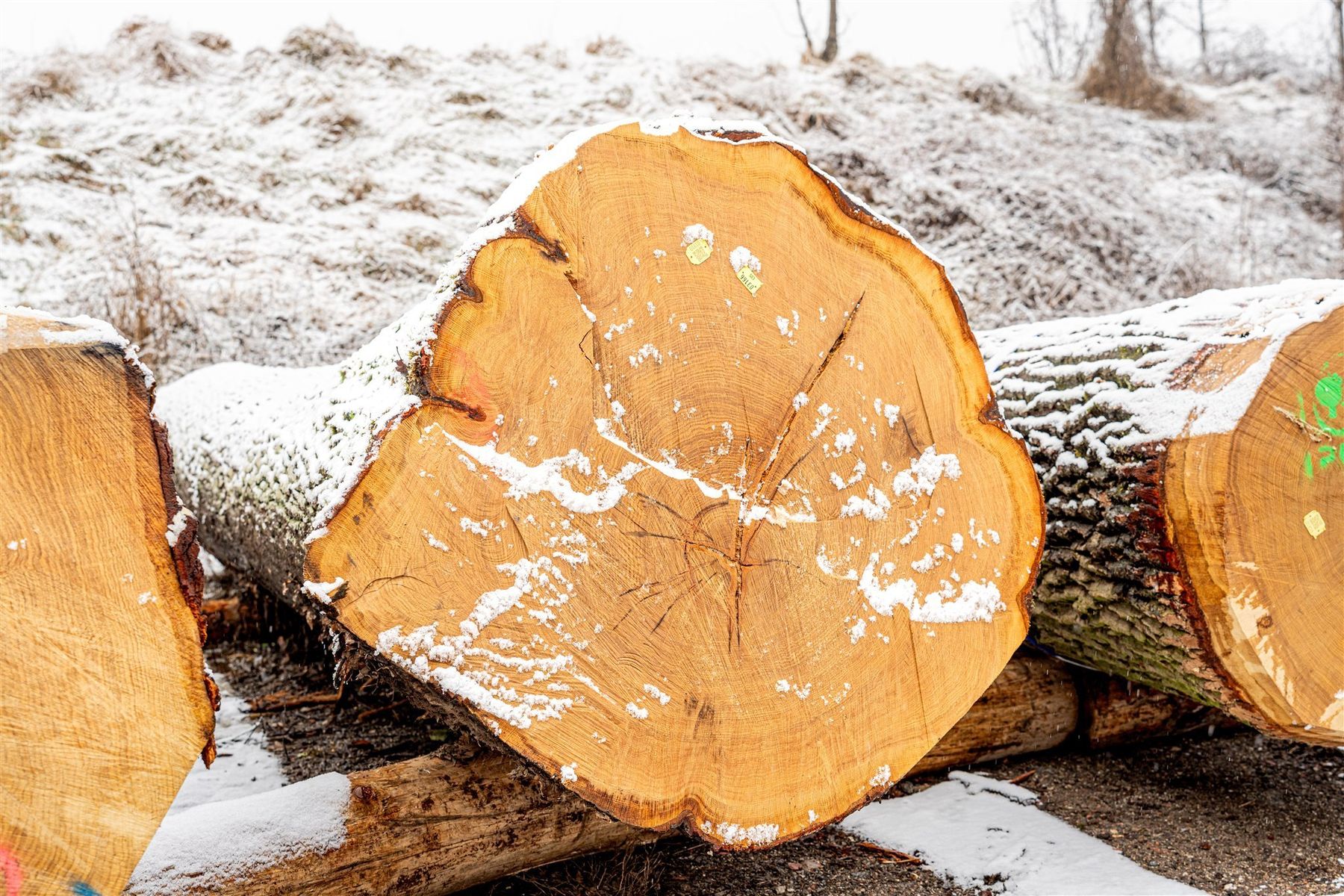 © Georg Pomassl/LK Niederösterreich