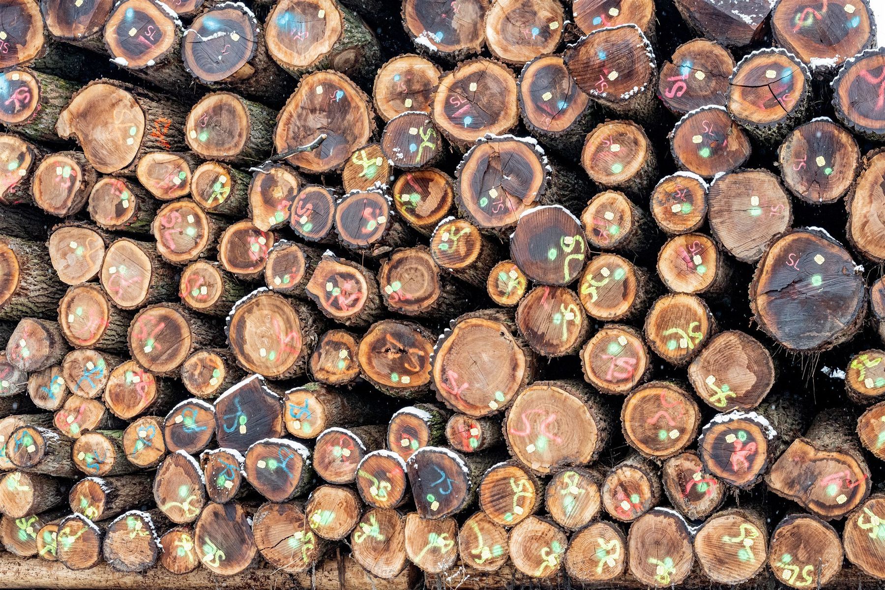 © Georg Pomassl/LK Niederösterreich