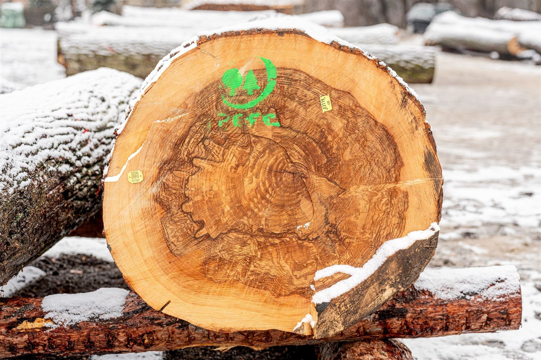 © Georg Pomassl/LK Niederösterreich