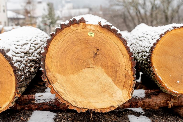 © Georg Pomassl/LK Niederösterreich
