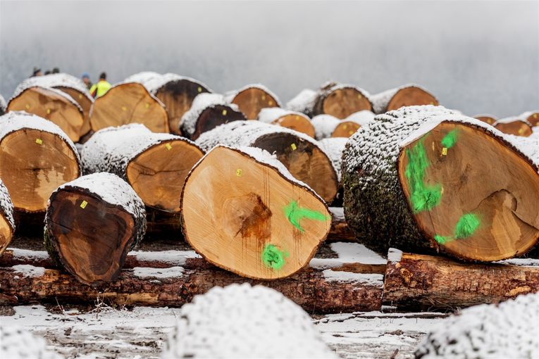 © Georg Pomassl/LK Niederösterreich