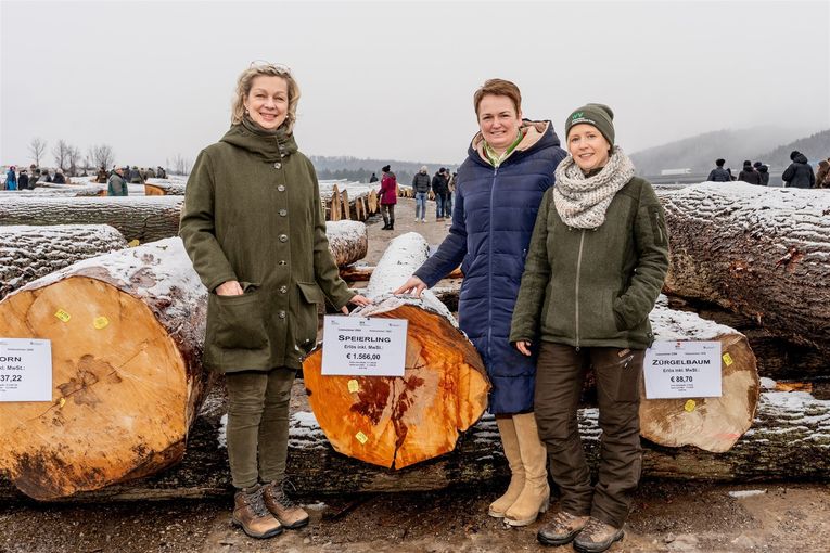 © Georg Pomassl/LK Niederösterreich