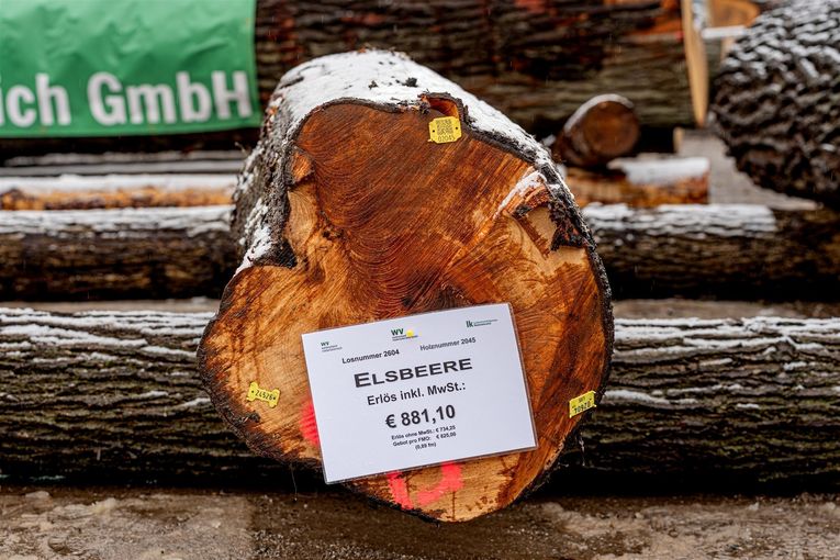 © Georg Pomassl/LK Niederösterreich