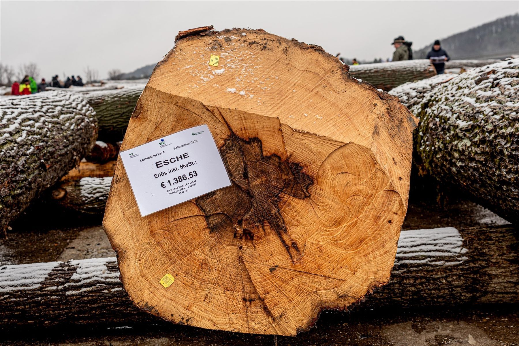 © Georg Pomassl/LK Niederösterreich