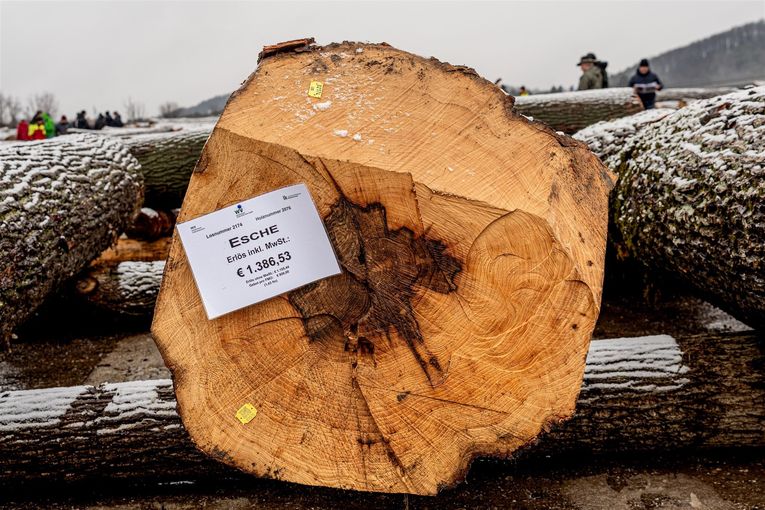 © Georg Pomassl/LK Niederösterreich